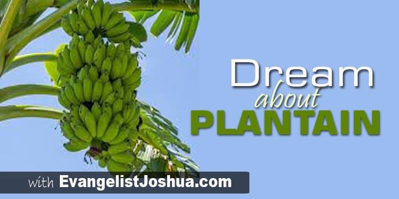 Spiritual Meaning Of Plantain Dream Evangelistjoshua Com